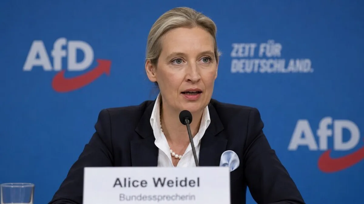 WELT Netzreporter: AfD in Sachsen-Anhalt greift nach absoluter Mehrheit