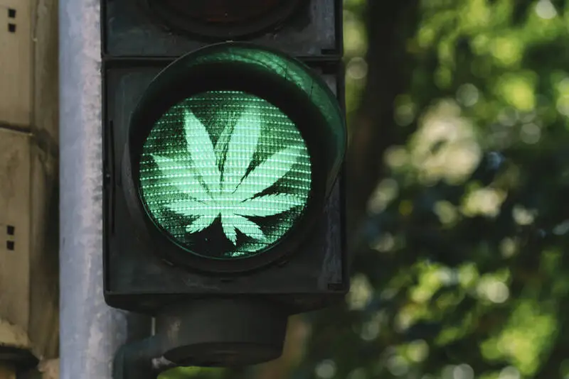 Cannabis Tourismus Deutschland: Was Reisende jetzt wissen müssen