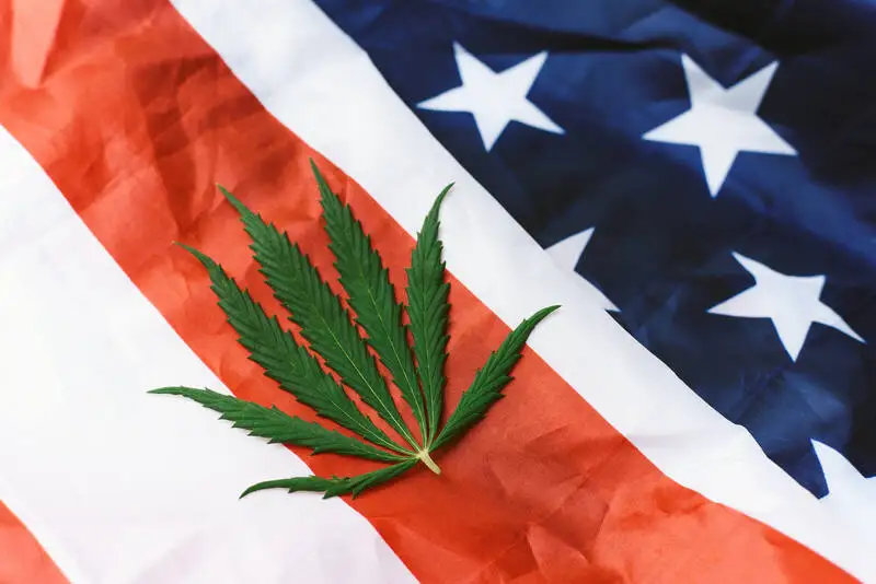 Medical Marijuana USA: Als Ausländer Patient werden